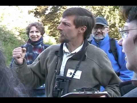 The Merlinologist Part 5