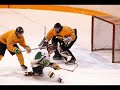 WHA- NEW WESTMINSTER WHALERS JUNIOR WEST HOCKEY CLUB