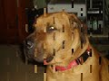 Hooch