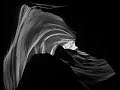 La Même Histoire/ We're All In The Dance