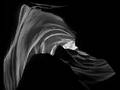 La Même Histoire/ We're All In The Dance