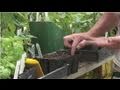 Nutritious Gardening : Planting Okra Seeds
