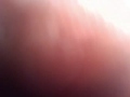 Video Cam Direct Upload ... shaycarl shaytards ShayLoss weight loss fruits vegetebles eating raw 
