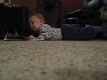 levi crawling levi crawling