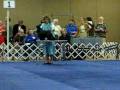 videos de ASC09 004