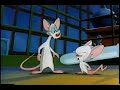 Planejamento by Pinky e C�rebro