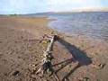 2nd creek, Elcho island
