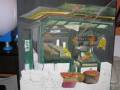 videos de Night Market Painting