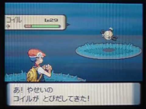 【ポケトレ連鎖(5)】色違いコイル出現[shiny Magnemite]　ポケットモンスター ダイヤモンド パール　pokemon diamond&pearl