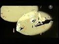 AKIRA動画