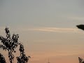 2007-10-14 morgenstimmung bei karlsruhe