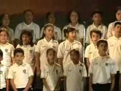 Ver Video