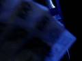 videos de Tigra chamando ralf.MPG