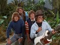 Gilligans Island- The Honey Bees Gilligans Island- The Honey Bees