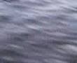 videos de jumoing the pier in knockadoon