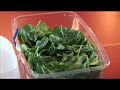 Raw Food Episode 44 - Girls Incorporated