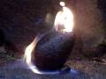 videos de Flaming Avocado