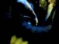 Paul van Dyk @ Koolhaus (Part 5/14)