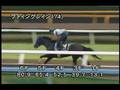 [調教] 081001 ファイングレイン 「スプリンターズステークス」前追い切り