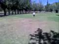 Todo por la guitrra