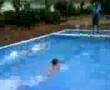 videos de Blanes 2007: 100m vrije slag: Sander vs Fleur