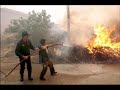 greek forest fire greek forest fire