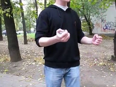 Yoggi`s Seven