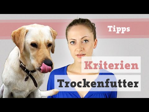 Hunde: Hundefutter Hund Ernhrung | Kriterien Trockenfutter. Gnstig vs. teuer. Bestes Trockenfutter? TroFu