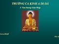 Kinh A Di Đà - 5 : Tán Dương Giáo Pháp - Võ Tá Hân phổ nhạc