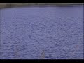 : 30 second funnie : 30 second funnie
