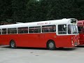 Midland Red 319