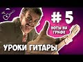 5 способов выучить расположение нот на грифе гитары. Уроки гитары - Играй, как Бенедикт!