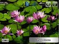 StreetDeck UMPC Skin