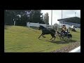 CAIB Traits Lisieux 2007-marathon