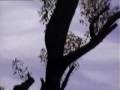 videos de Hamilton-Anti Gravity Vehicle-UFO.avi