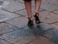 talons,canard,anatra