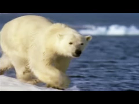 Imagen de previsualización de YouTube