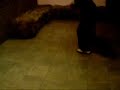 Hardjump, Hardstyle, Jumpstyle, Jumpen