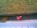 dead end leaf blower