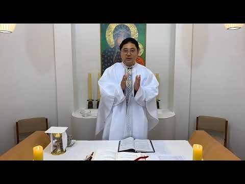 "보리빵 다섯개와 물고기 두 마리의 의미" 강론(2020년 금요일 미사 강론)
