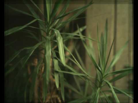 Synthetic Aperture using a 5x5 Camera Array