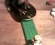 girly lego man gets eaten by dragon