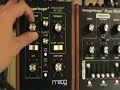 I'm using a Red Witch Fuzz God, MoogerFooger Bass Murf, MoogerFooger Analog Dealy, and a Moog CP 251.The Fuzz God is oscillating into the Bass Murf and then into the Analog Delay. The CP 251 is sending a sample hold into the delay time.