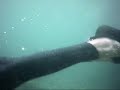 Cornwall Monofin Swimming Adventure Type Thing