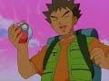 Brock Vs Molly