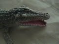 Crocodile vs. Raptor from JP from EL part 2