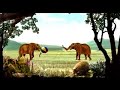 YD Industries - Mastodon Ball Video