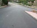 Freewheelin\