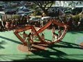 Singapore Cheng Jing Hui Dragon Dance