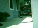 ryan and shawn skaten